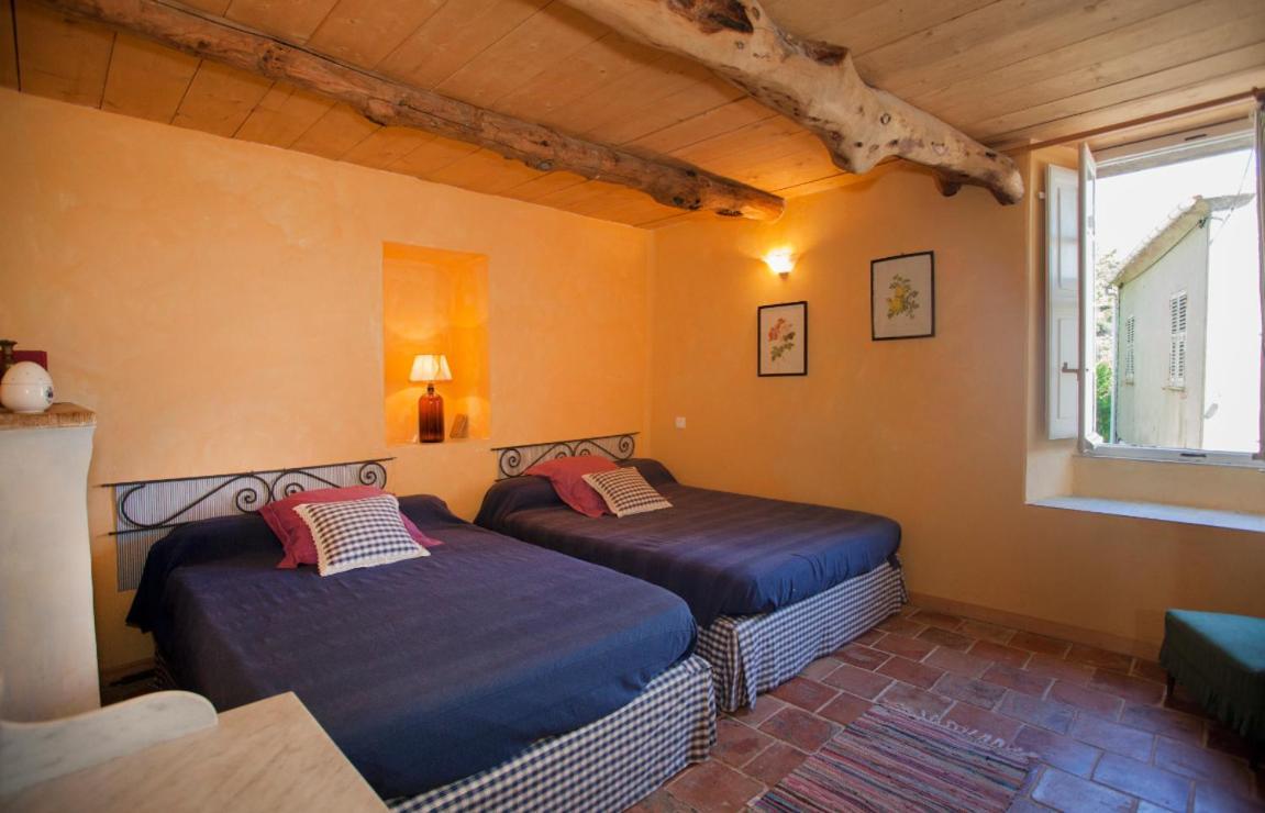Maison Simonpietri Cagnano Zewnętrze zdjęcie